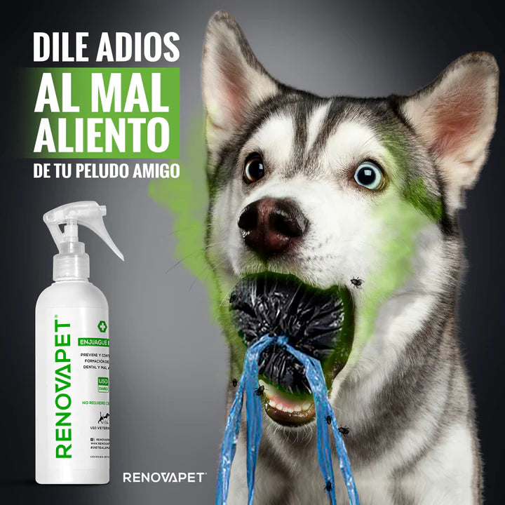 RENOVAPET ORAL 🐶 Adiós Al Sarro 😻