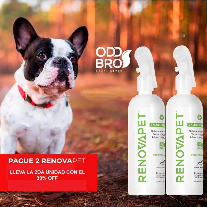 RENOVAPET ORAL 🐶 Adiós Al Sarro 😻