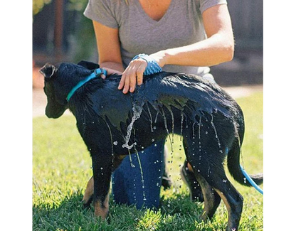 Manguera Con Cepillo Para Mascotas - Limpieza y Masaje en Un Solo Paso