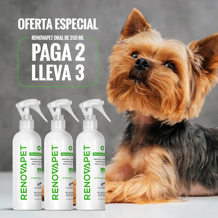 RENOVAPET ORAL 🐶 Adiós Al Sarro 😻